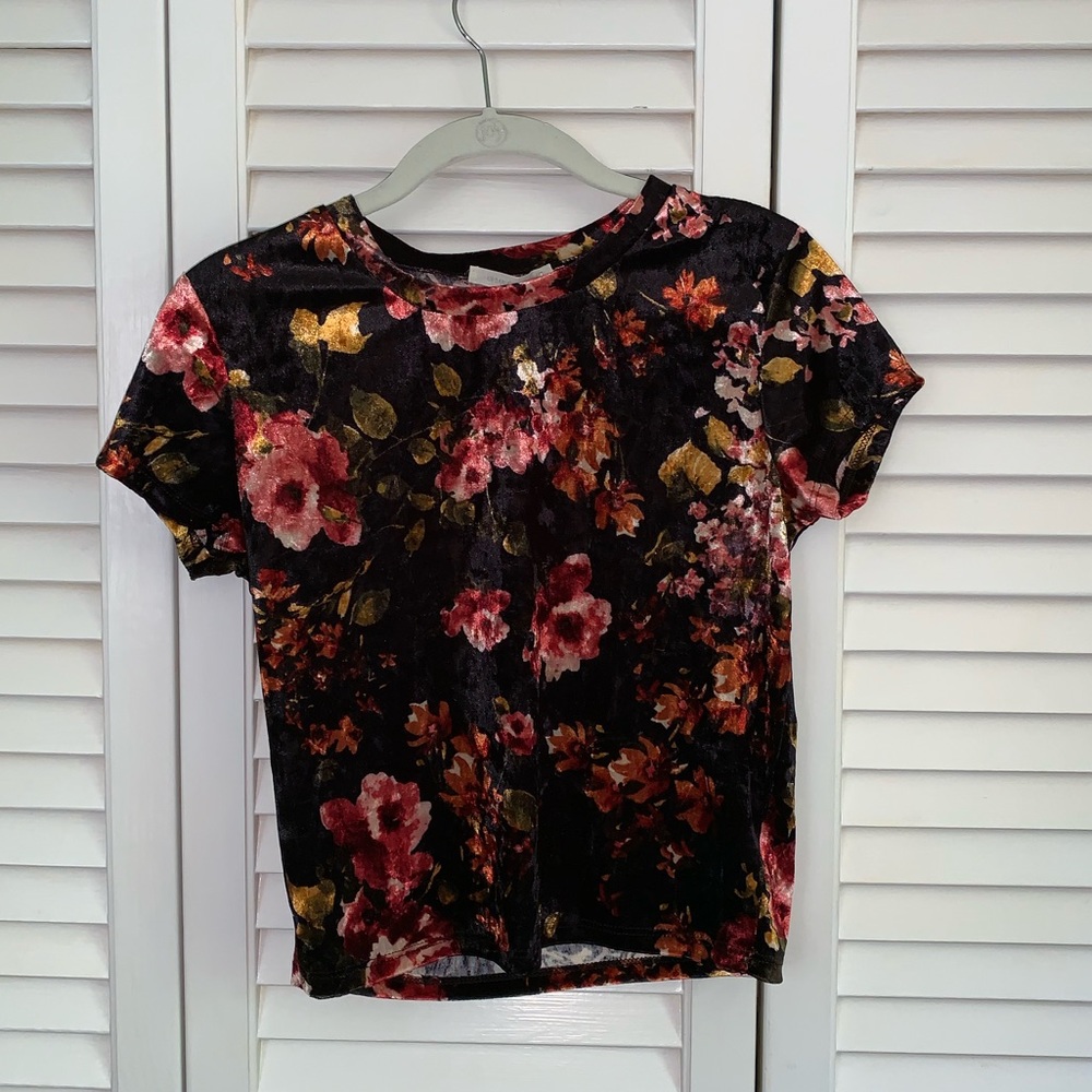 Urban Outfitters Velvet Cropped Floral T-Shirt